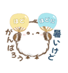 飛びだす♡夏のシマエナガ（個別スタンプ：13）