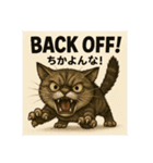 目つきの悪い猫2(英語)（個別スタンプ：1）