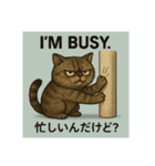 目つきの悪い猫2(英語)（個別スタンプ：5）