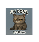 目つきの悪い猫2(英語)（個別スタンプ：9）