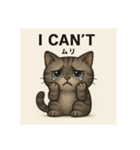 目つきの悪い猫2(英語)（個別スタンプ：12）