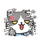 使いやすい猫スタンプ プレミアム（個別スタンプ：17）