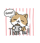 使いやすい猫スタンプ プレミアム（個別スタンプ：21）