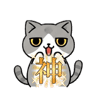使いやすい猫スタンプ プレミアム（個別スタンプ：22）