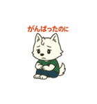はくあの癒やしスタンプ（個別スタンプ：11）