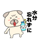 【夏】パグ犬のぱーちゃん84（個別スタンプ：8）