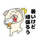 【夏】パグ犬のぱーちゃん84（個別スタンプ：14）