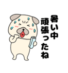 【夏】パグ犬のぱーちゃん84（個別スタンプ：16）