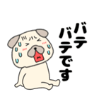 【夏】パグ犬のぱーちゃん84（個別スタンプ：22）