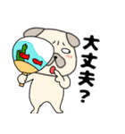 【夏】パグ犬のぱーちゃん84（個別スタンプ：23）