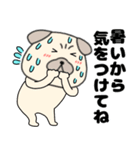 【夏】パグ犬のぱーちゃん84（個別スタンプ：24）