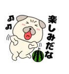 【夏】パグ犬のぱーちゃん84（個別スタンプ：26）