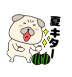 【夏】パグ犬のぱーちゃん84（個別スタンプ：29）
