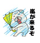 【夏】パグ犬のぱーちゃん84（個別スタンプ：34）