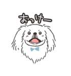 ハク★ニコニコたまにスンっなペキニーズ（個別スタンプ：1）