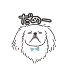 ハク★ニコニコたまにスンっなペキニーズ（個別スタンプ：2）