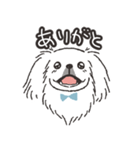 ハク★ニコニコたまにスンっなペキニーズ（個別スタンプ：3）