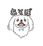 ハク★ニコニコたまにスンっなペキニーズ（個別スタンプ：4）