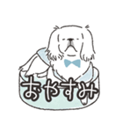 ハク★ニコニコたまにスンっなペキニーズ（個別スタンプ：11）