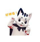 星の使者 猫月（ニャンルー）【繁体字版】（個別スタンプ：8）