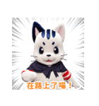 星の使者 猫月（ニャンルー）【繁体字版】（個別スタンプ：13）