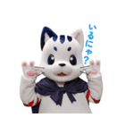 星の使者 猫月（ニャンルー）【日本語版】（個別スタンプ：6）