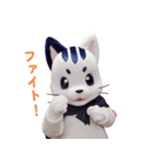 星の使者 猫月（ニャンルー）【日本語版】（個別スタンプ：10）