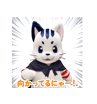 星の使者 猫月（ニャンルー）【日本語版】（個別スタンプ：13）