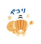 おめでとうセット うさぎリスねずみ（個別スタンプ：24）