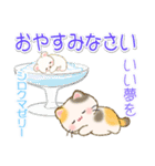 ずっと使える♪ちびころにゃんと夏スイーツ（個別スタンプ：10）