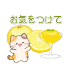 ずっと使える♪ちびころにゃんと夏スイーツ（個別スタンプ：27）