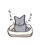 猫のロロ【日常リアクション】スタンプ（個別スタンプ：11）
