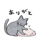 猫のロロ【日常リアクション】スタンプ（個別スタンプ：14）