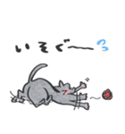 猫のロロ【日常リアクション】スタンプ（個別スタンプ：16）
