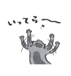 猫のロロ【日常リアクション】スタンプ（個別スタンプ：17）