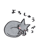 猫のロロ【日常リアクション】スタンプ（個別スタンプ：19）