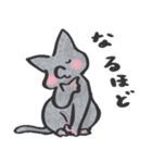 猫のロロ【日常リアクション】スタンプ（個別スタンプ：37）