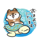 ほんわかしばいぬと水族館（個別スタンプ：2）