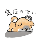 ほんわかしばいぬと水族館（個別スタンプ：13）
