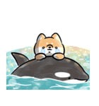 ほんわかしばいぬと水族館（個別スタンプ：21）