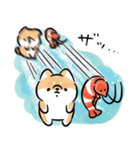 ほんわかしばいぬと水族館（個別スタンプ：25）