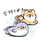 ほんわかしばいぬと水族館（個別スタンプ：28）