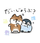 ほんわかしばいぬと水族館（個別スタンプ：37）