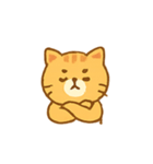 ちゃとらねこの感情パック（個別スタンプ：3）