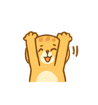 ちゃとらねこの感情パック（個別スタンプ：6）