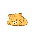 ちゃとらねこの感情パック（個別スタンプ：10）