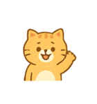 ちゃとらねこの感情パック（個別スタンプ：21）