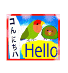 楽しむコザクラインコ（個別スタンプ：2）