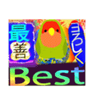 楽しむコザクラインコ（個別スタンプ：13）