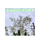 夏の盛りのお花で、日々のご挨拶を（個別スタンプ：6）